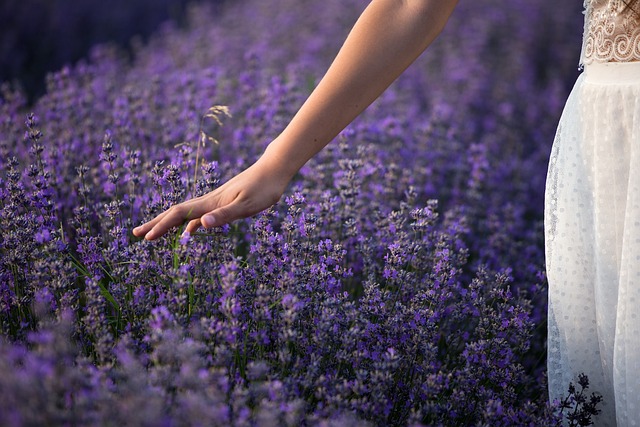 Comment reconnaître les maladies des plantes dans votre jardin ?