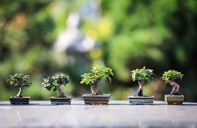 Comment recycler les déchets de votre jardin lors de l'entretien ?