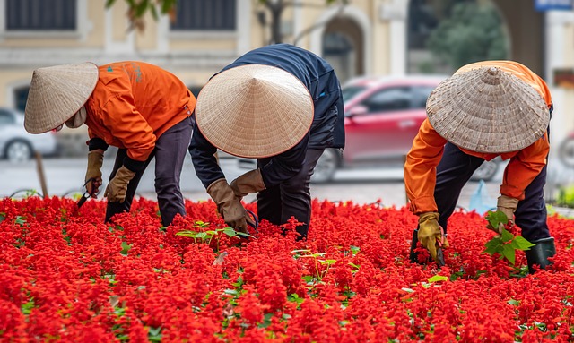 Les outils indispensables à l'entretien d'un jardin
