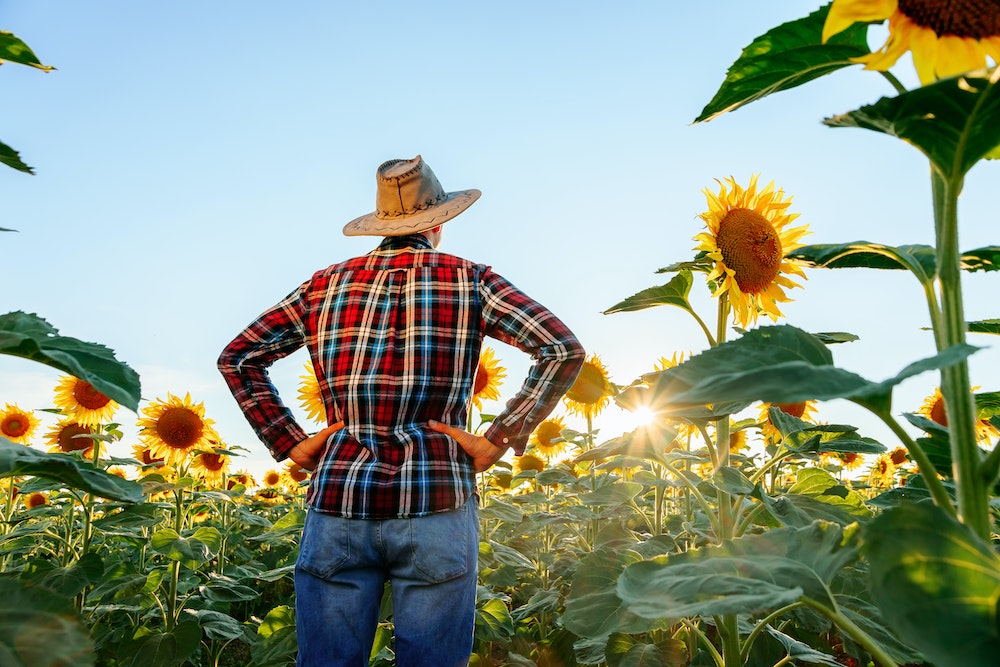 Investir dans l'immobilier agricole : un placement rentable et durable