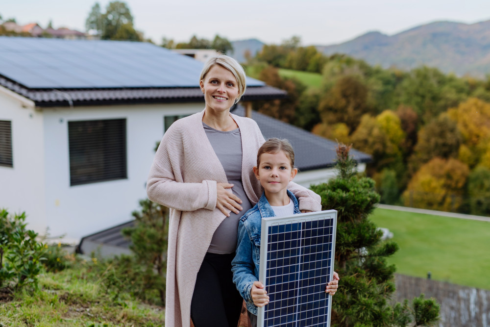 Aide panneaux solaires : le point sur les subventions et l'énergie solaire en France