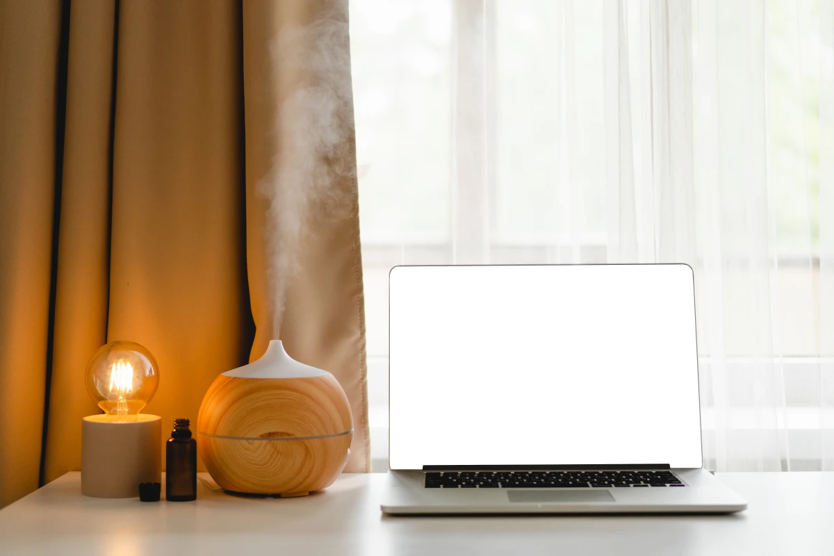 Humidité logement : causes, traitements et conseils pour lutter efficacement